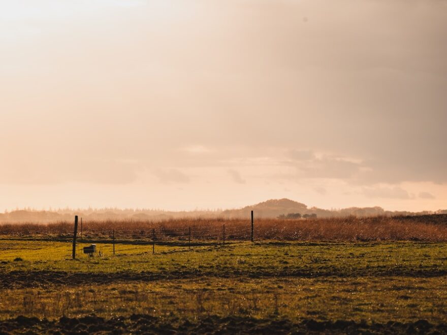 Wandelen op de Veluwe